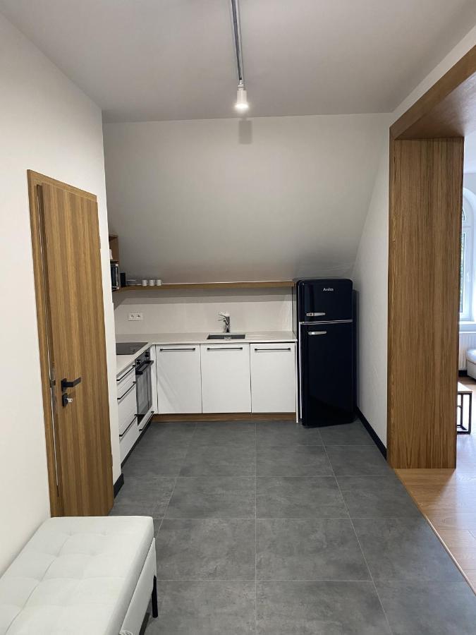 Apartamenty Przy Parku Szwedzkim Szczawno-Zdroj Exteriér fotografie